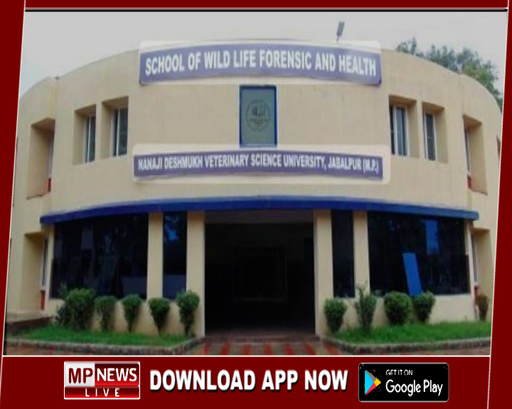 वेटरनरी यूनिवर्सिटी ने 40 छात्रों के प्रमाण पत्र किये रद्द