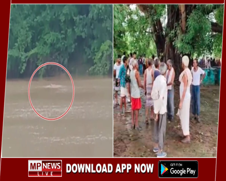 नदी के किनारे बैठी महिला को मगरमच्छ ने मारा झपट्टा, महिला को खींचकर ले गया नदी मे, हादसे मे महिला की मौत