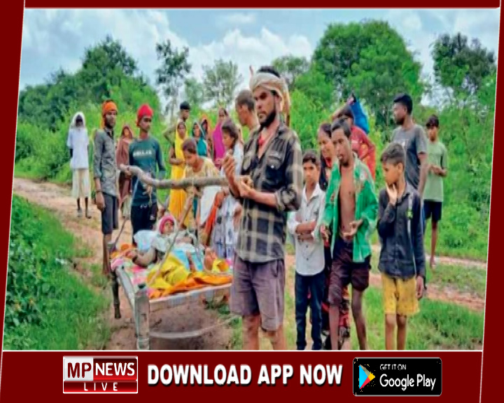 सिद्धपुरी गांव नहीं थी सड़क, मजबूरन गर्भवती को दो किमी तक चारपाई से ले गए परिजन