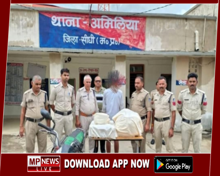अमिलिया पुलिस ने प्रभावी कार्रवाई कर बड़ी मात्रा में नशीली दवाई किया जब्त
