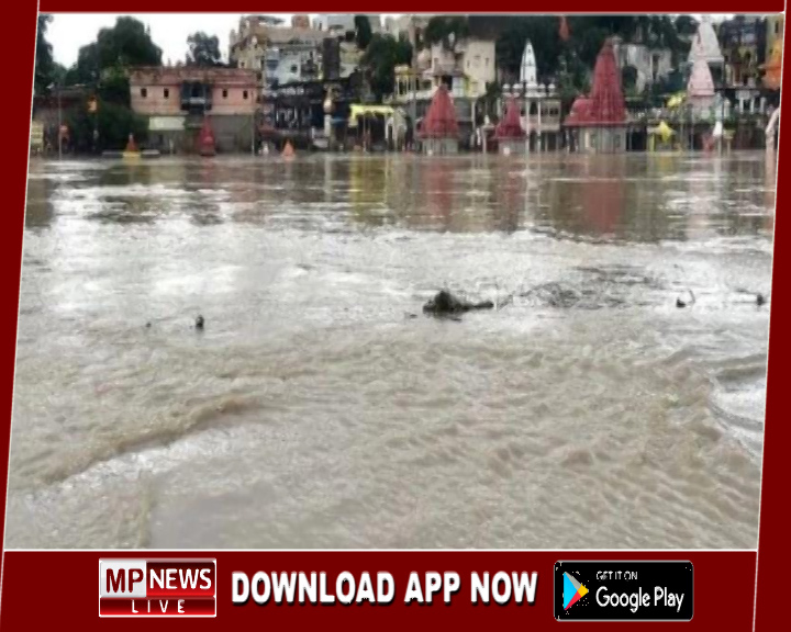 भारी बारिश से 50 से अधिक गांव में अलर्ट, ग्वालियर संभाग के कई इलाके जलमग्न, फसलों को भारी नुकसान