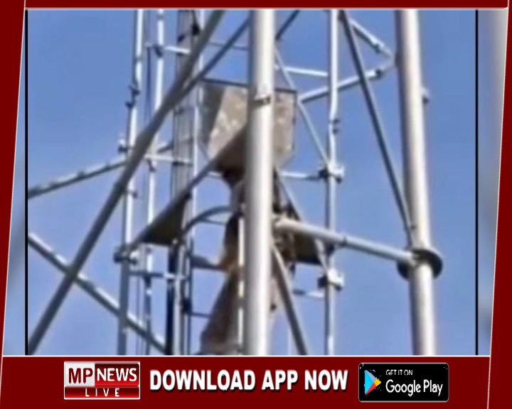 पसंद की शादी के लिए  ‘शोले’ स्टाइल ड्रामा, शादी के लिए टावर पर चढ़ी युवती, समझाने के बाद उतरी नीचे, घंटों चला हाई-वोल्टेज ड्रामा