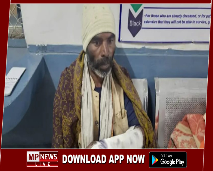 खेत में सिंचाई कर रहे किसान पर भालू ने किया जानलेवा हमला, संघर्ष कर किसान ने बचाई जान