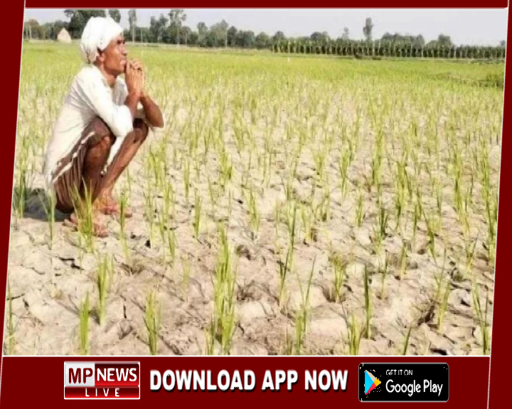 ओलावृष्टि से किसानों को भारी नुकसान, मुख्यमंत्री ने दिए जिला प्रशासन को सर्वे के निर्देश