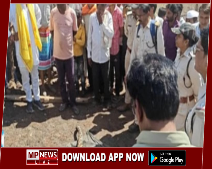 बकरी चराने गए बच्चों पर अचानक तेंदुए ने किया हमला, 5 घायल, हमले के बाद मृत मिला तेंदुआ