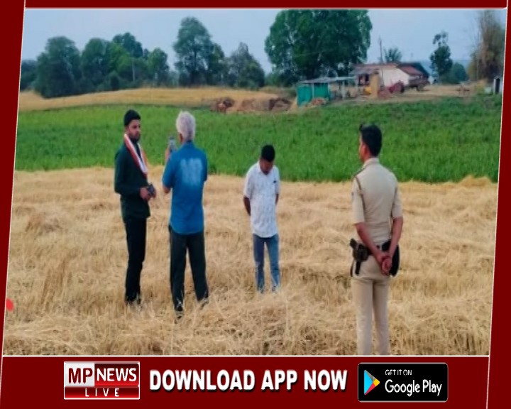 साझी मुहिम से 1000 गोवंश को मिलेगा सालभर आहार, पर्यावरण संरक्षण एवं गोसंवर्धन को जोड़ने की अनोखी पहल