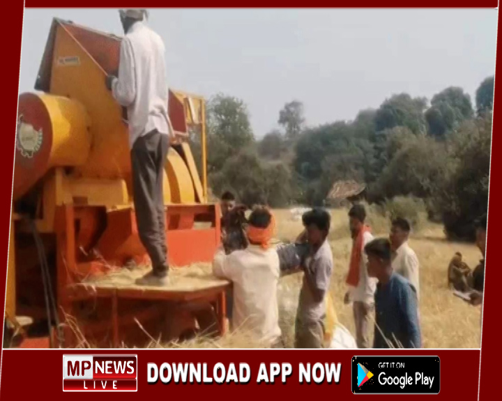 गेहूं निकालते वक़्त थ्रेसर में फंसा किसान, सिर पिसकर हुआ गायब, मशीन से निकला किसान का धड़