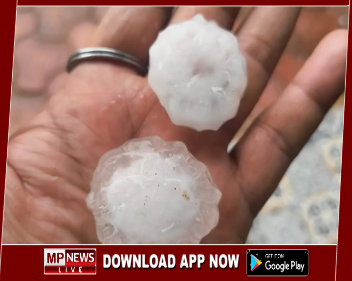 डिंडौरी में तेज बारिश के साथ ओलावृष्टि, सब्जी की फसल को हुआ भारी नुकसान, सब्जी उत्पादक किसानों के माथे में बढ़ी चिंता की लकीर